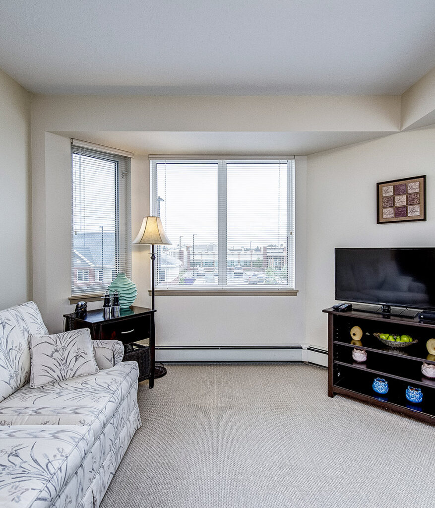 living room with window and tv